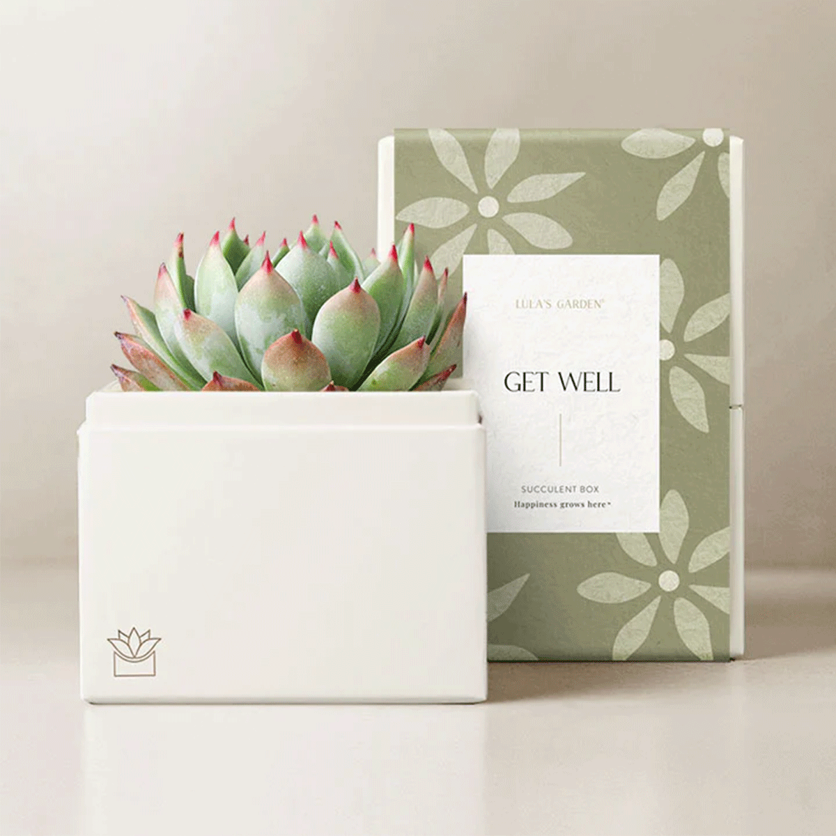 Image of Bliss Garden, Standard