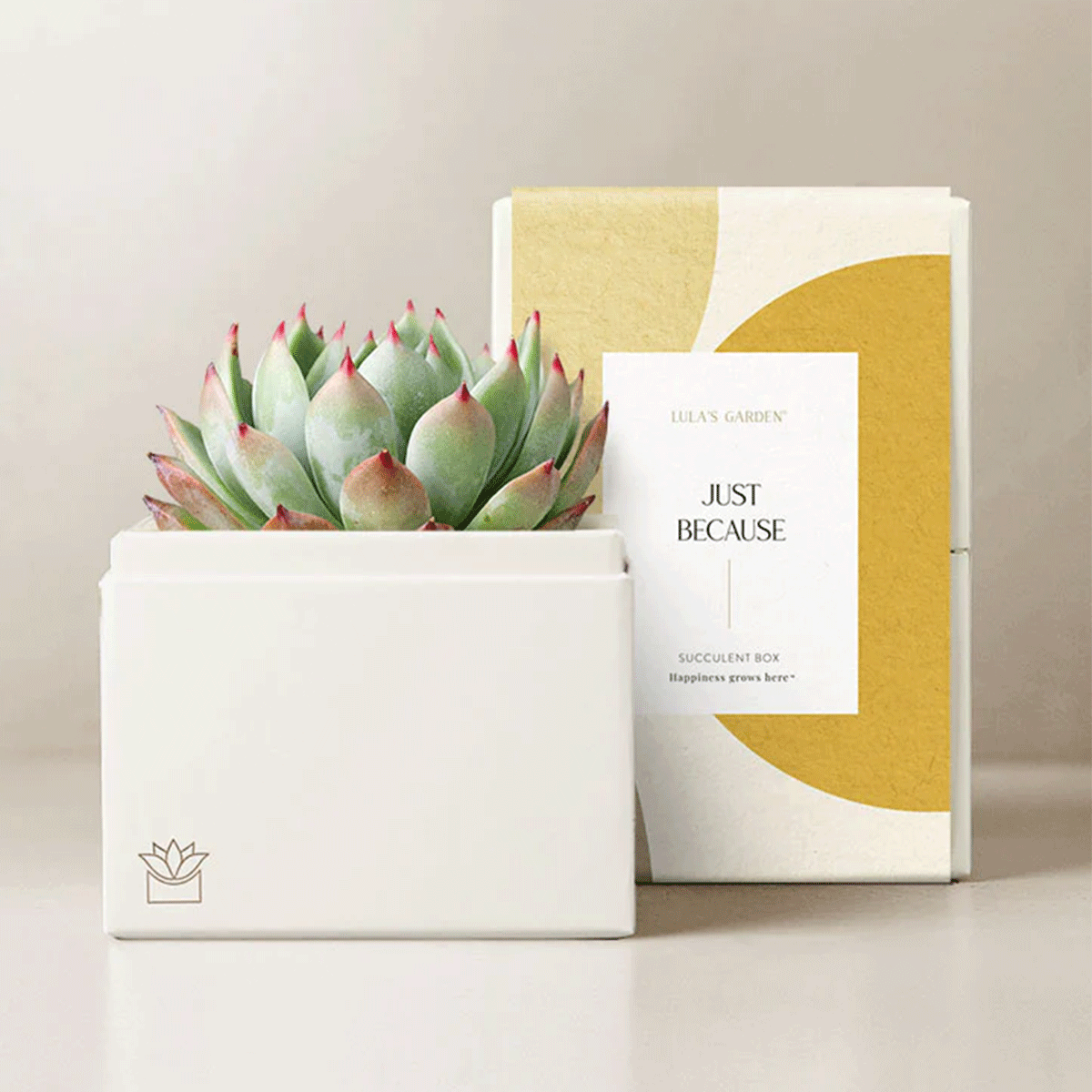 Image of Bliss Garden, Standard