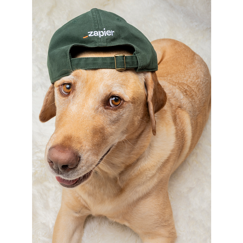 Image of AutoPilot Dad Hat - Moss, Standard