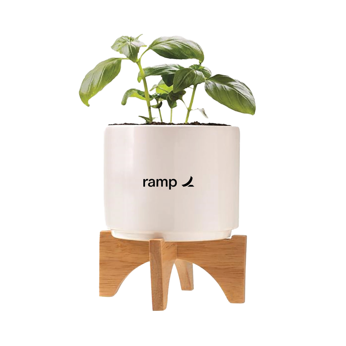 Image of The Growth Portfolio, Ramp Standard