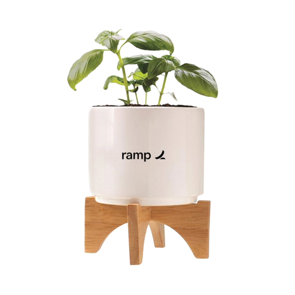 Image of The Growth Portfolio, Ramp Standard