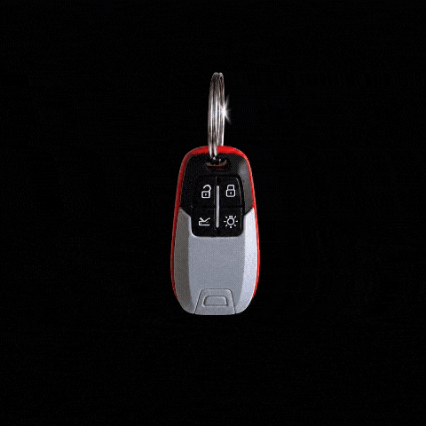 Image of "Ferrari" Key Fob, Standard