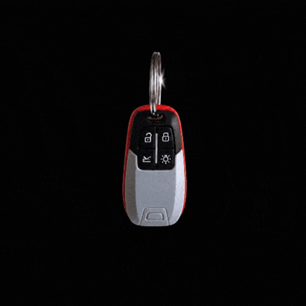 Image of "Ferrari" Key Fob, Standard