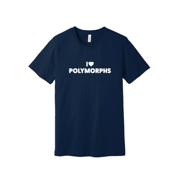 Image of "I Heart Polymorphs" Regular Tee, Vintage Navy / XS