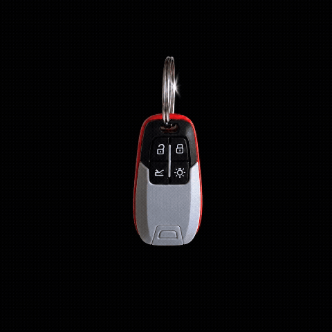 Image of "Ferrari" Key Fob, Standard