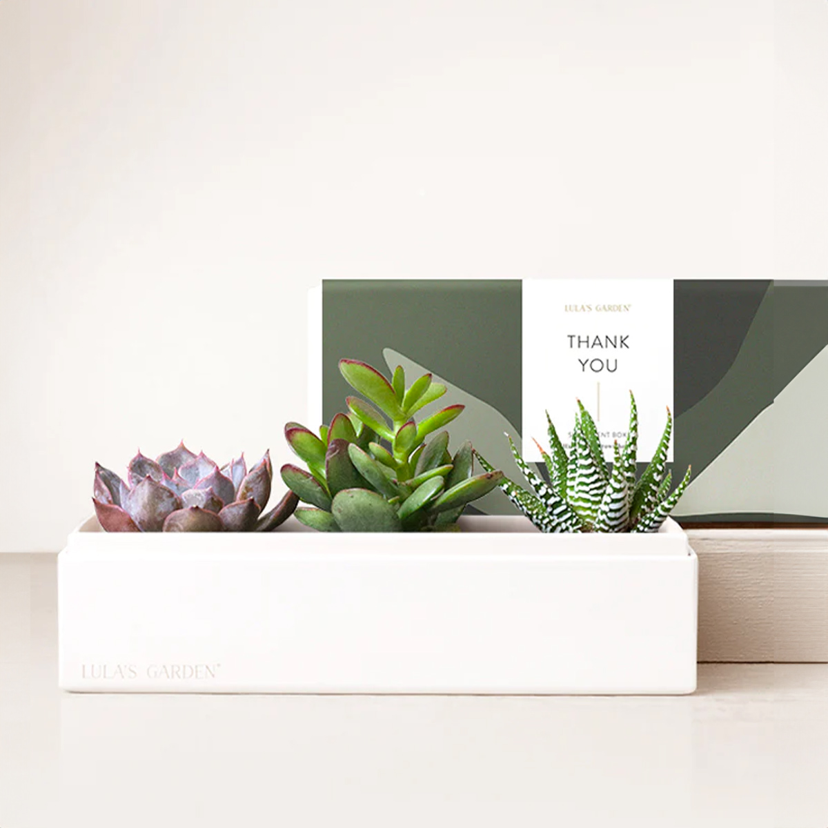 Image of Thank You Jewel Garden, Standard