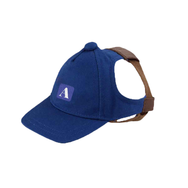 Image of The Pups Pick Hat, Ashby Size M